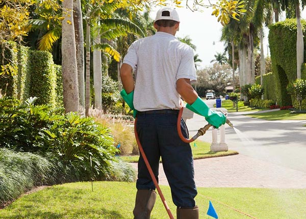 About Kutztown PA Pest Control Pros